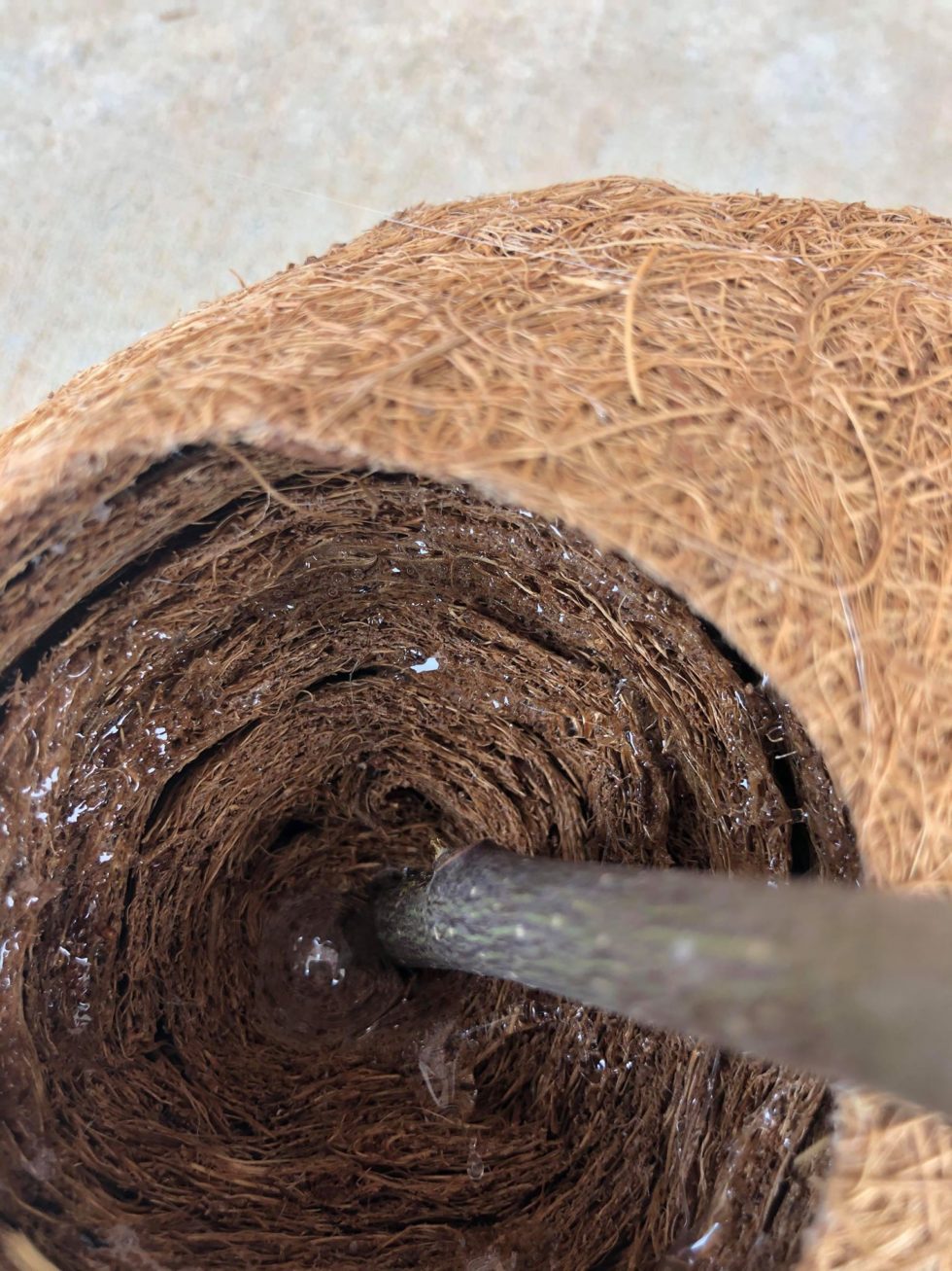 DIY Coco Liner Rose The Shabby Tree