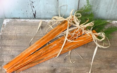 Rustic Wooden Shim Carrots