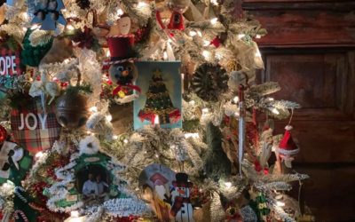 Christmas Tree In The Shabby Tree Warehouse “2021”