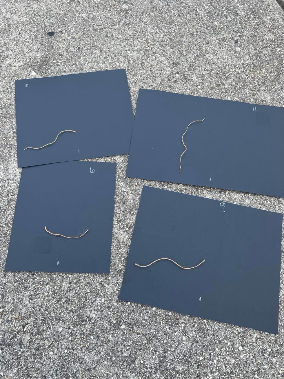 DIY Funnel Tree Using Dollar Tree Poster Boards The Shabby Tree