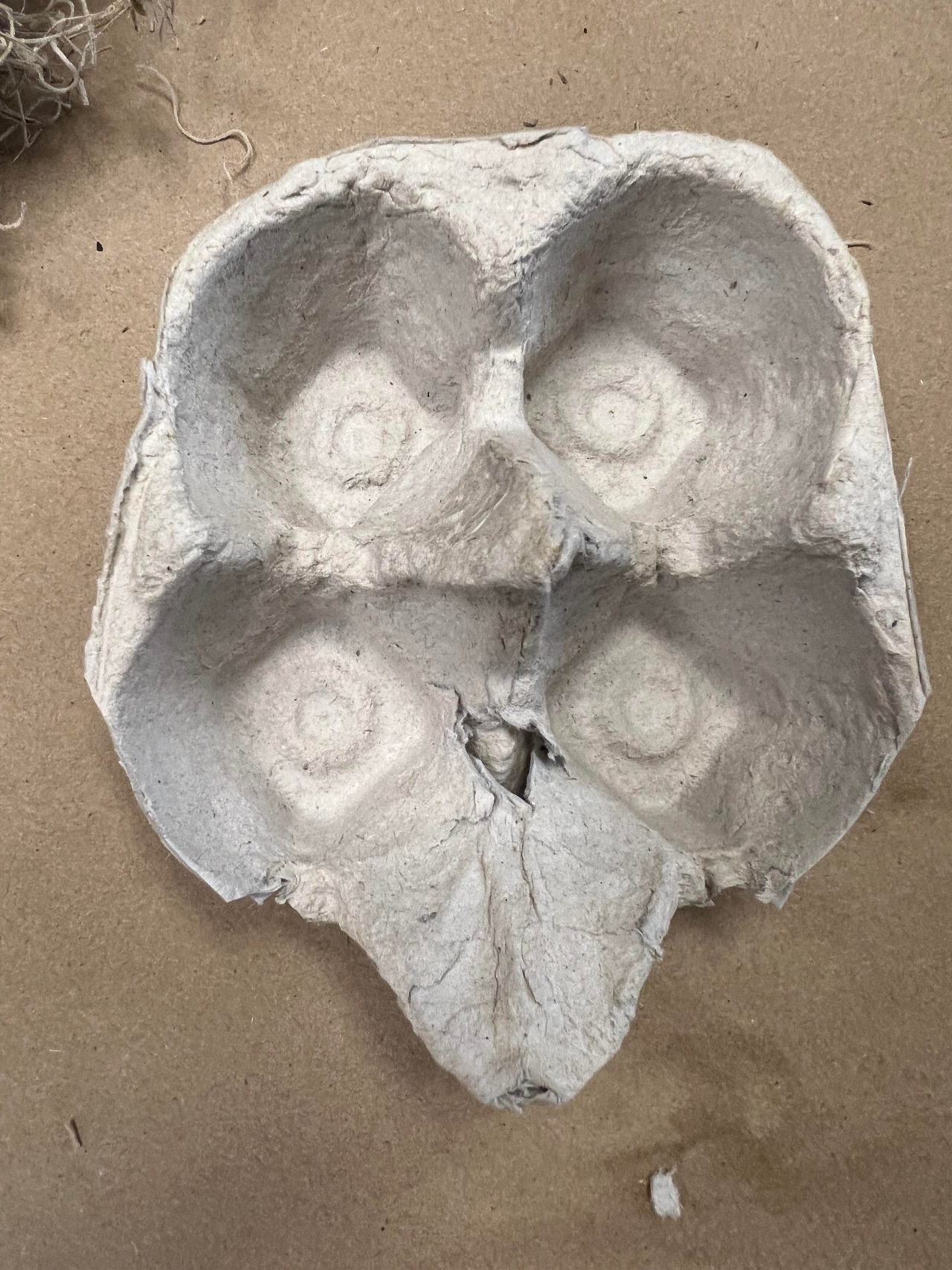 DIY Witch Head Using An Egg Carton The Shabby Tree