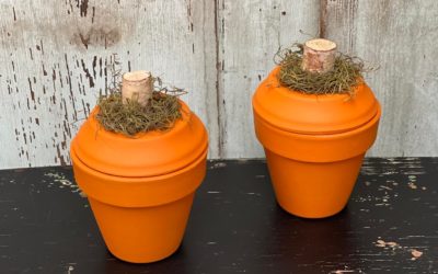 DIY Pumpkin Pot