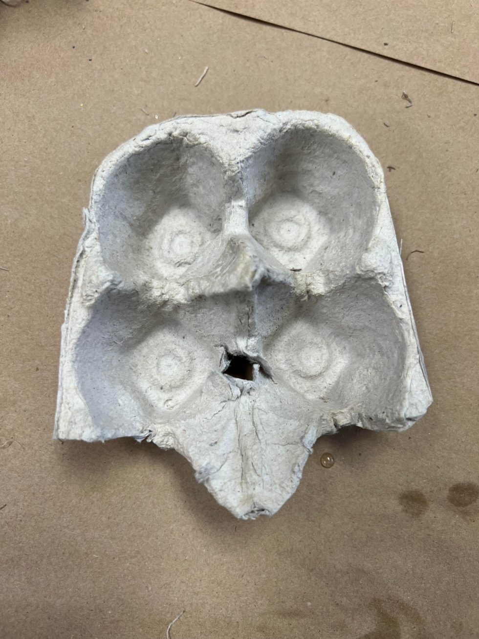 DIY Witch Head Using An Egg Carton The Shabby Tree