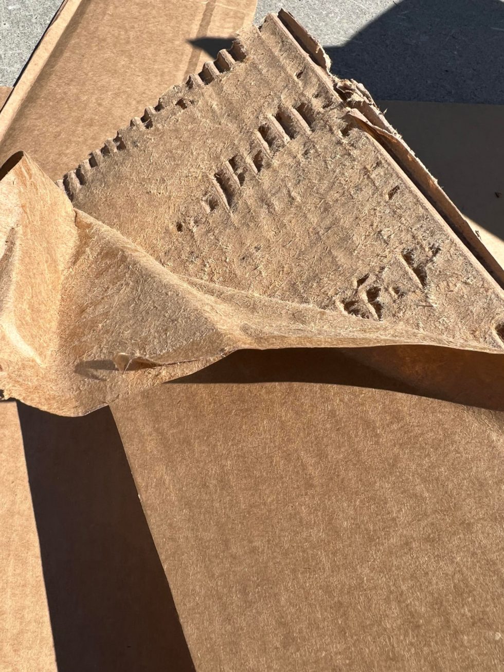 DIY Cardboard Owl - The Shabby Tree