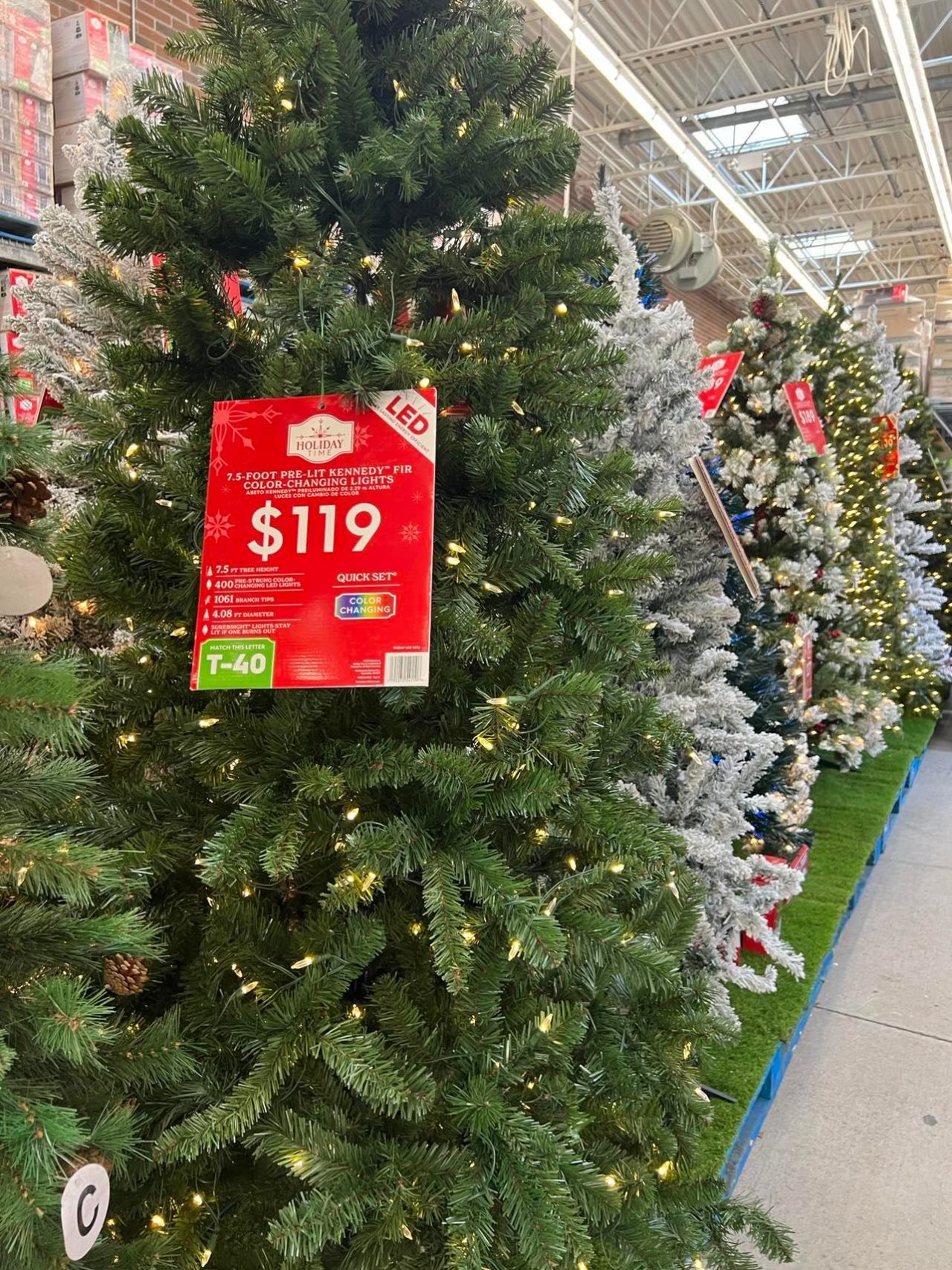 Walmart S Christmas Tree S 2022 The Shabby Tree   309914249 446465954032795 6252745855699588030 N 1280x1707 