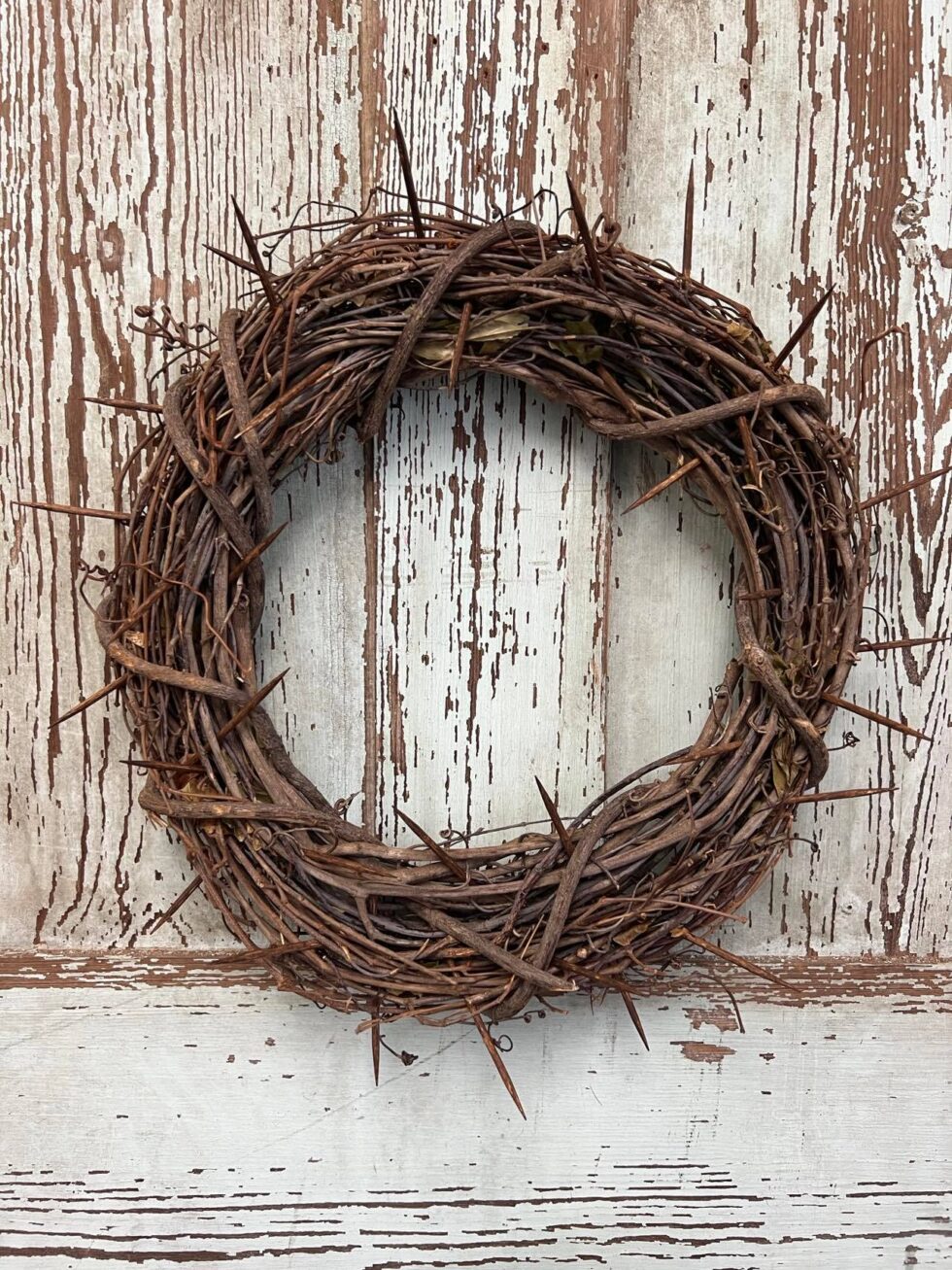 diy crown of thorns headpiece