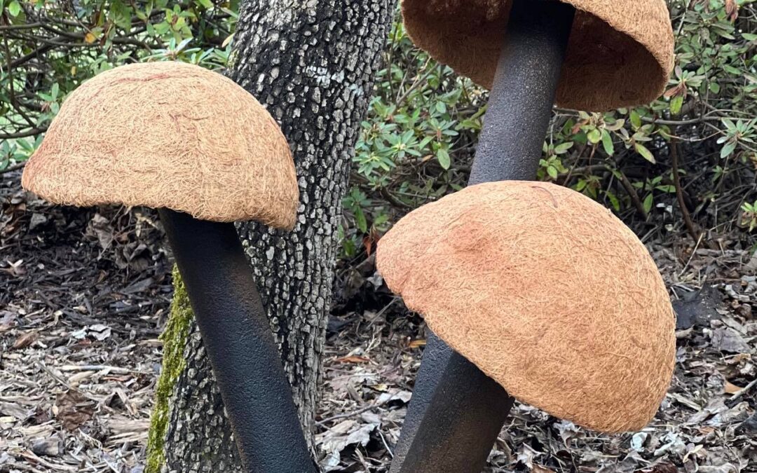 Diy Mushroom Using Dollar Tree Items