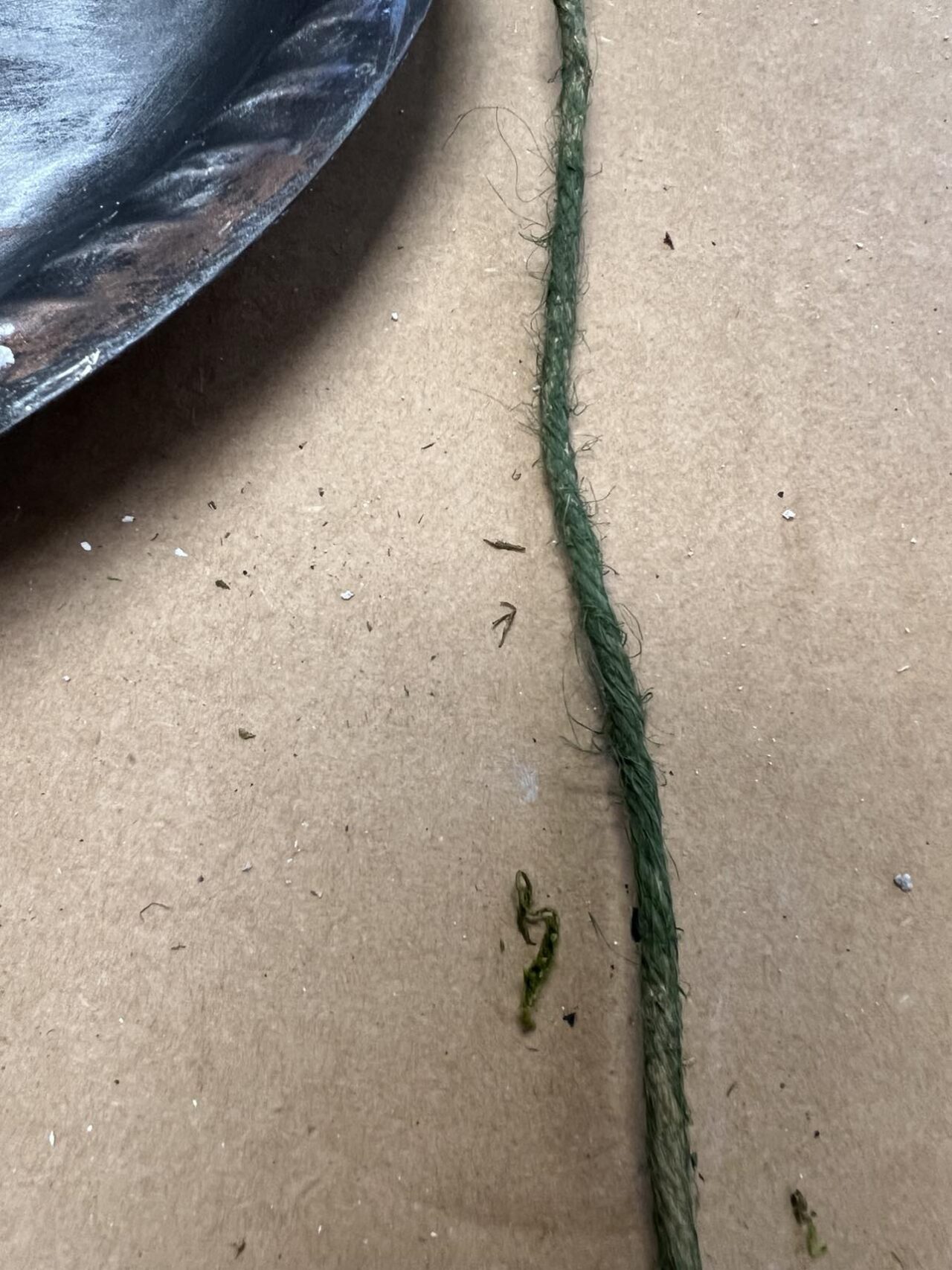 How To Use Fast Dry Spackling For A Spring Decoration - The Shabby Tree