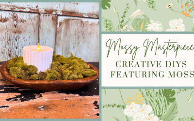 Mossy Masterpieces: Creative DIYs Featuring Moss