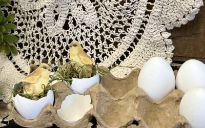 Egg Craft Using A Chick Napkin