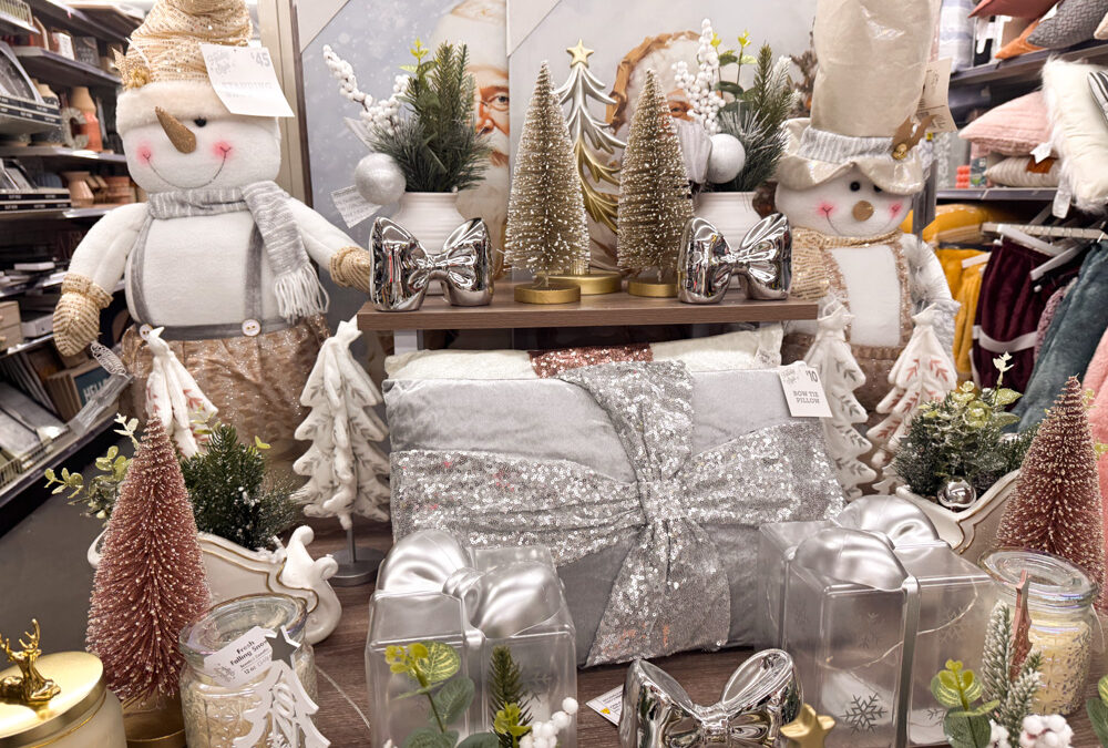 Christmas At Dollar General 2025