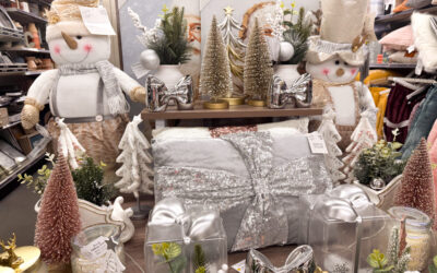 Christmas At Dollar General 2025