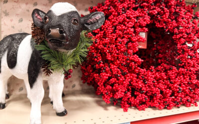 Christmas Decor At Tractor Supply 2025