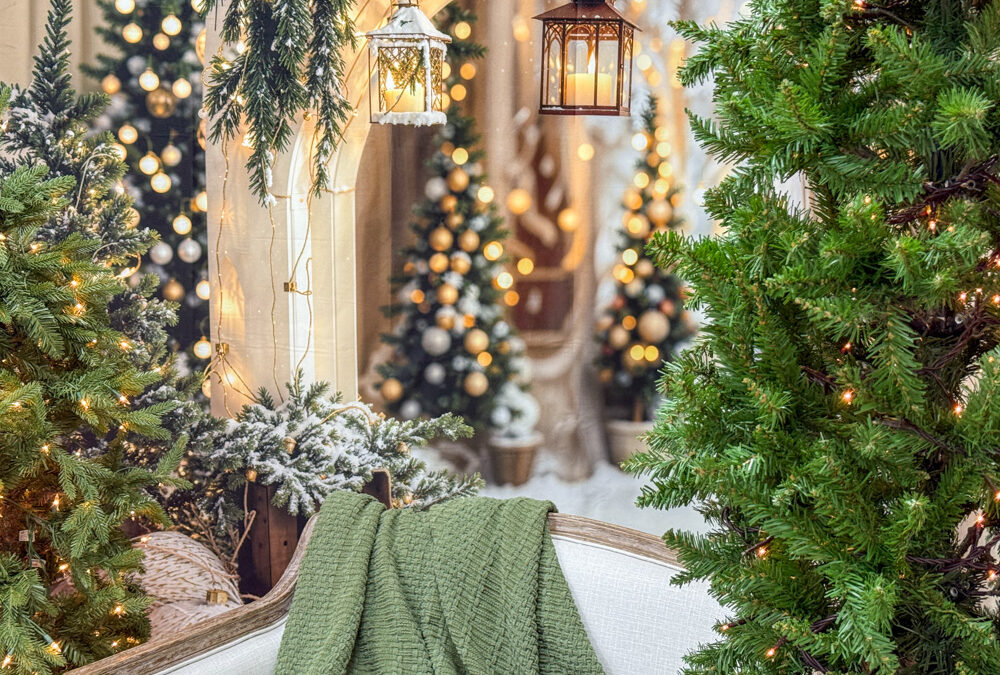 Our Christmas Backdrops In Our New Warehouse