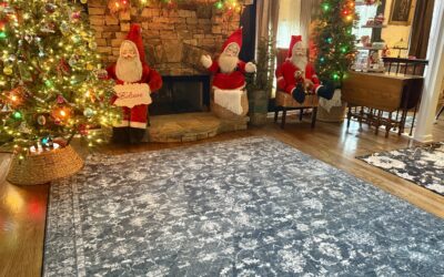 My New Sofa From La-Z Boy